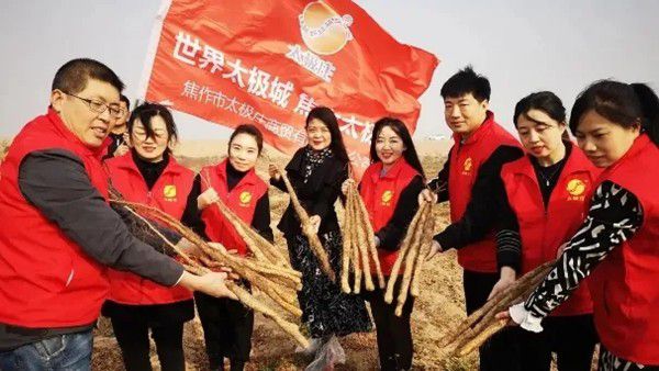 鐵棍山藥規(guī)?；?、標(biāo)準(zhǔn)化種植